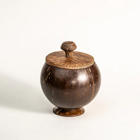 Coconut Shell Container with Lid