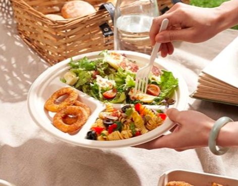Sugarcane Plates