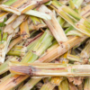 Sugarcane Plates
