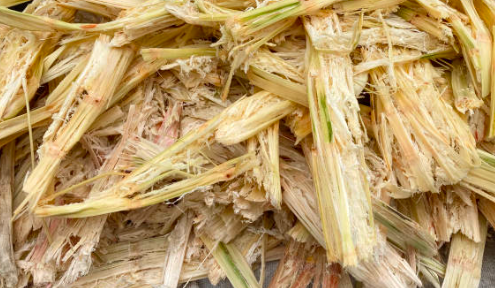 Sugarcane Plates